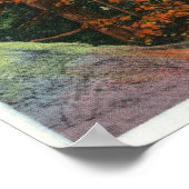 湖のフルトンチェーンのバランスのとれたロックビュー ポスター (角)