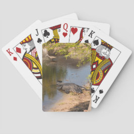 湖のフロリダワニとリンプキン トランプ