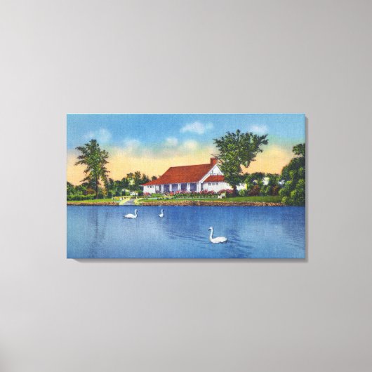 湖のホープ公園スワンスのビュー キャンバスプリント (正面)