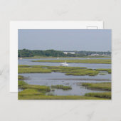 湖のボート ポストカード (正面/裏面)