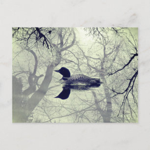 湖のポストカードに黒と白のルーン ポストカード