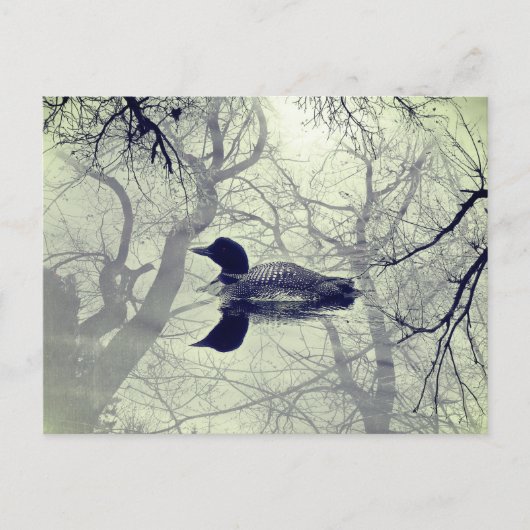 湖のポストカードに黒と白のルーン ポストカード (正面)