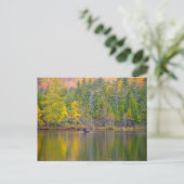 湖のムース ポストカード (スタンド正面)