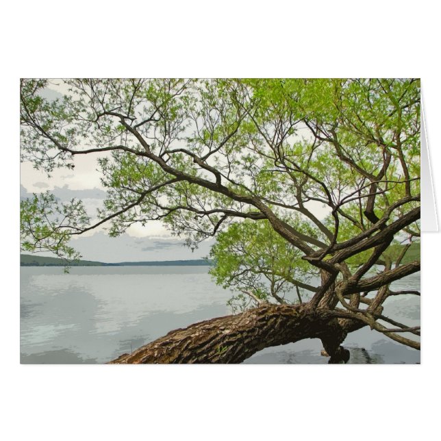 湖のヤナギ (正面横)