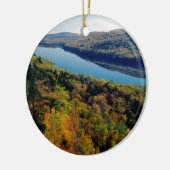 湖のヤマアラシ山 セラミックオーナメント (左)