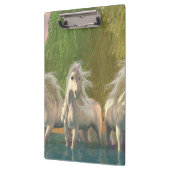 湖の一角 クリップボード (左)