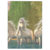 湖の一角 クリップボード (裏面)