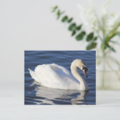 湖の上で白鳥 ポストカード (スタンド正面)