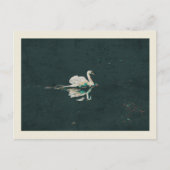 湖の上の白鳥 ポストカード (正面)