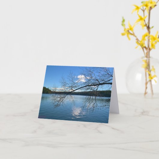 湖の上の裸の枝 カード (黄色い花)