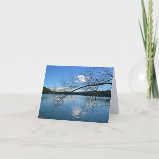 湖の上の裸の枝 カード (正面)