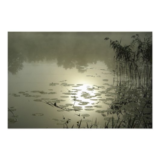 湖の上の霧の日 フォトプリント            (正面)