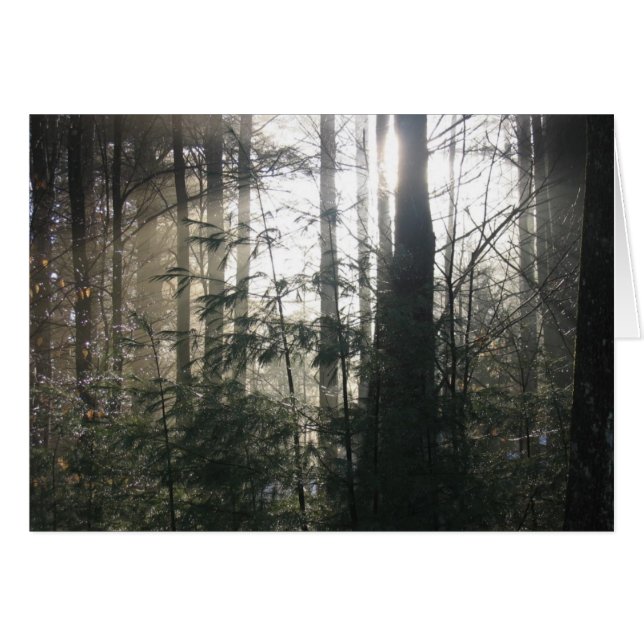 湖の丘の冬、NY (正面横)