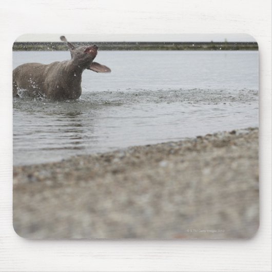 湖の中の犬が水を振り払う マウスパッド (正面)