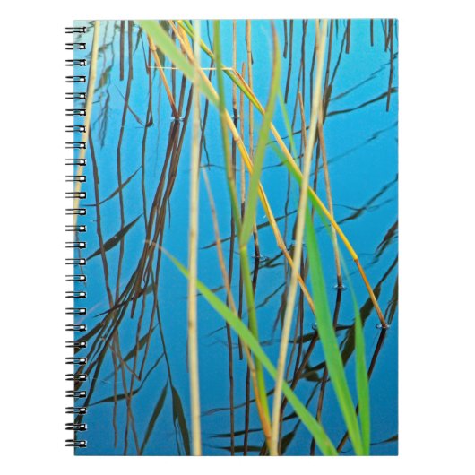 湖の中の葦 ノートブック (正面)