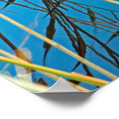 湖の中の葦 ポスター (角)