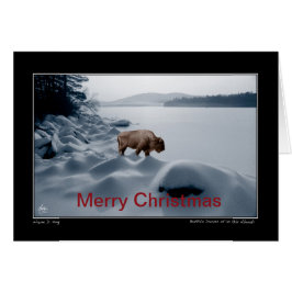 湖の前のスピリットバッファロー – クリスマスカード