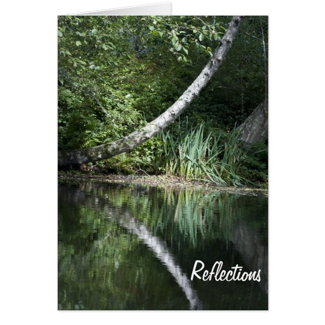 湖の反射 (正面)