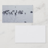 湖の名刺の浜鳥 名刺 (正面/裏面)