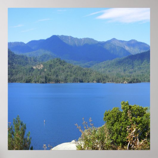 湖の夏…... ポスター (正面)