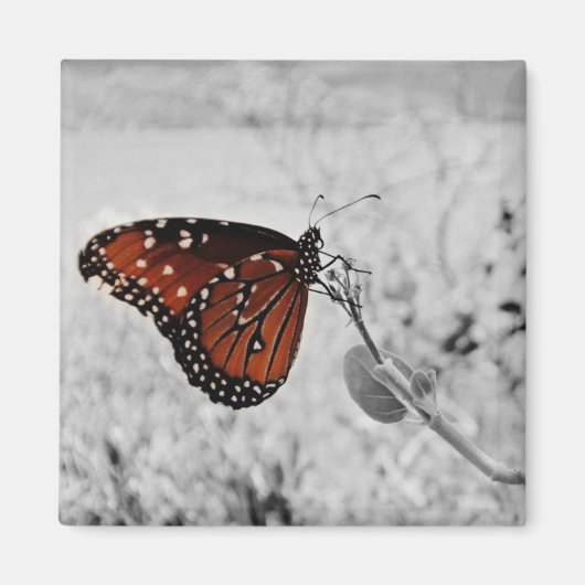 湖の女性 マグネット (正面)