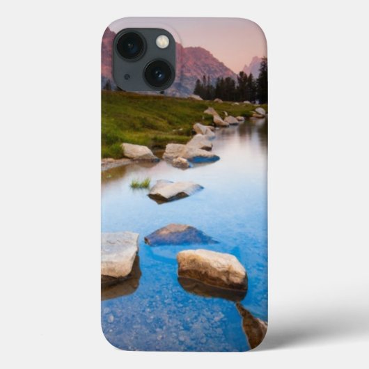 湖の孤独 Case-Mate iPhoneケース (裏面)