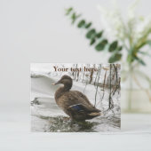 湖の暗闇に灰色のアヒル シーズンポストカード (スタンド正面)