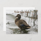 湖の暗闇に灰色のアヒル シーズンポストカード (正面/裏面)
