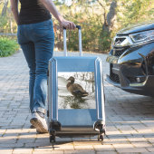 湖の暗闇に灰色のアヒル シール (スーツケースインサイチュ)