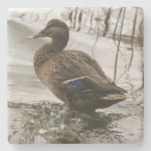 湖の暗闇に灰色のアヒル ストーンコースター (正面)