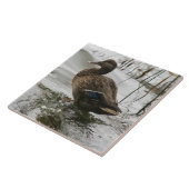 湖の暗闇に灰色のアヒル タイル (側面)