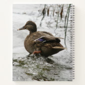 湖の暗闇に灰色のアヒル ノートブック (裏面)