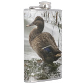 湖の暗闇に灰色のアヒル フラスク (右)