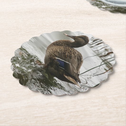 湖の暗闇に灰色のアヒル ペーパーコースター (アングル)