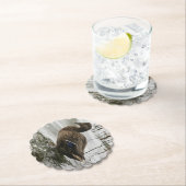 湖の暗闇に灰色のアヒル ペーパーコースター (インサイチュ)