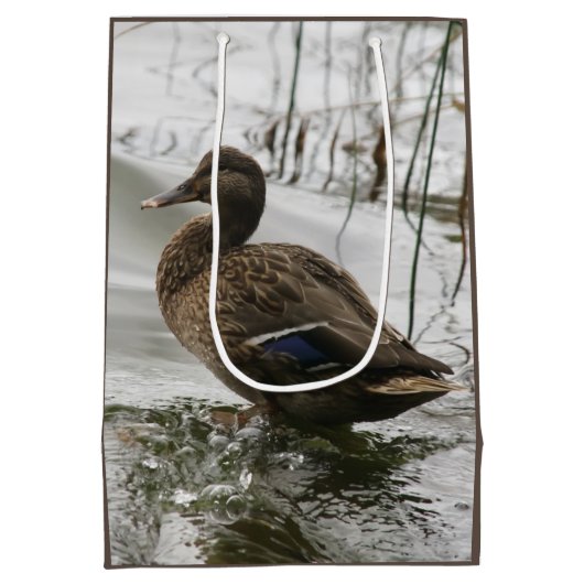 湖の暗闇に灰色のアヒル ミディアムペーパーバッグ (裏面)