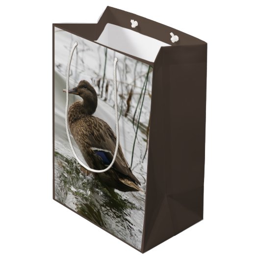 湖の暗闇に灰色のアヒル ミディアムペーパーバッグ (裏面アングル)