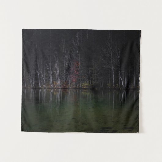 湖の木の風景 タペストリー (正面(横))