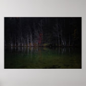 湖の木の風景 ポスター (正面)
