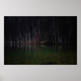 湖の木の風景 ポスター