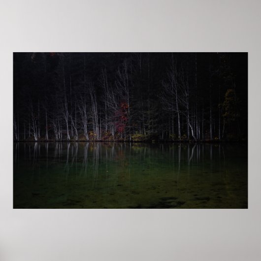 湖の木の風景 ポスター (正面)
