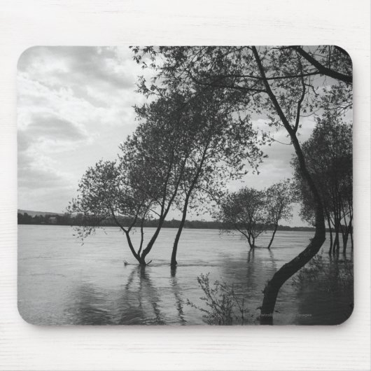 湖の木 マウスパッド (正面)