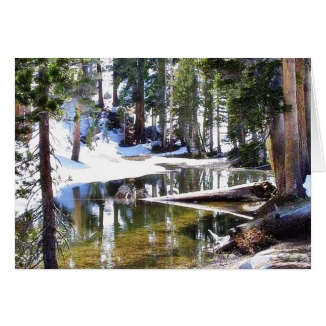 湖の木Forrests (正面横)