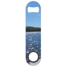 湖の朱色の光っている青海原