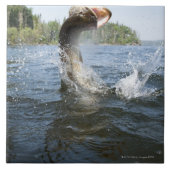 湖の水のカワカマスの素早く書き留めること タイル (正面)