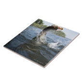 湖の水のカワカマスの素早く書き留めること タイル (側面)