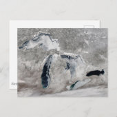 湖の氷、素晴らし州統一された。 ポストカード (正面/裏面)