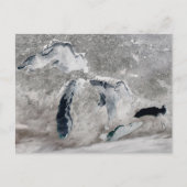 湖の氷、素晴らし州統一された。 ポストカード (正面)