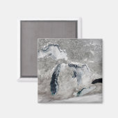 湖の氷、素晴らし州統一された。 マグネット (正面/裏面)