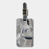 湖の氷、素晴らし州統一された。 ラゲッジタグ (正面縦)